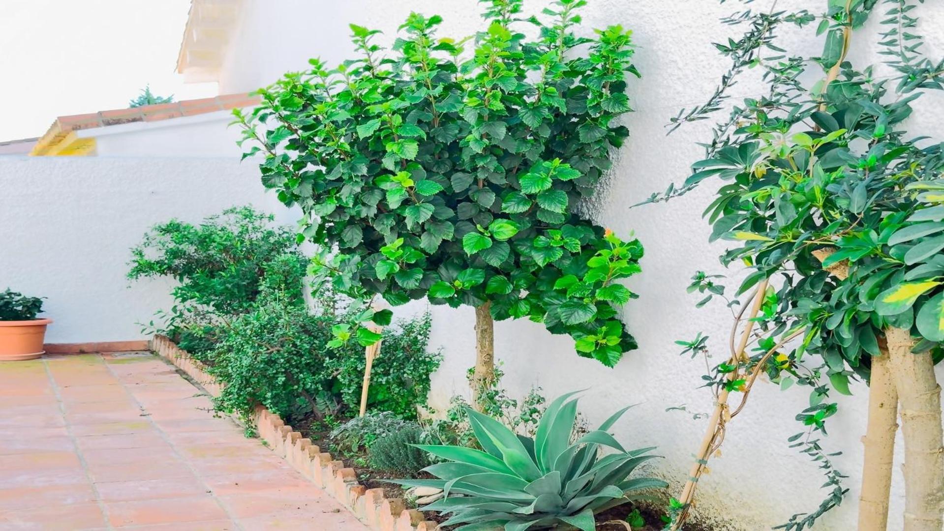 Vivienda Con Encanto Goya Nº4 贝纳尔马德纳 外观 照片